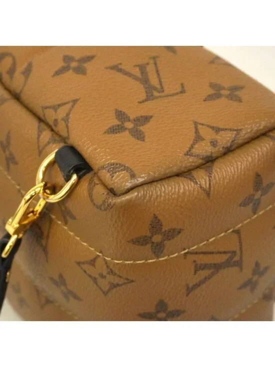 Louis Vuitton Backpack Monogram Reverse Palm Spring Mini Brown - Picture 6 of 10
